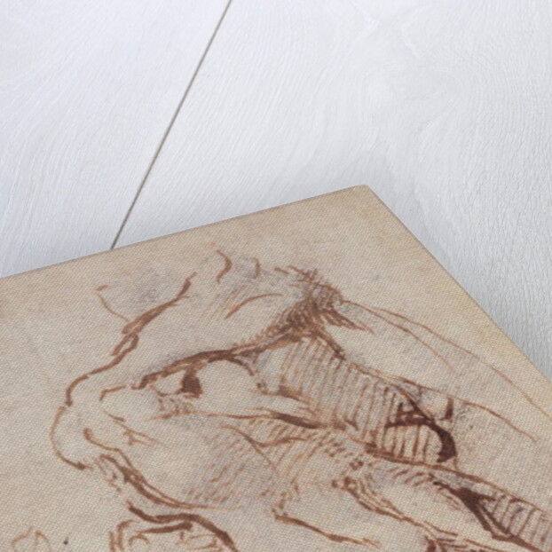 Study of an Arm Inv.1859/5/14/819 by Michelangelo Buonarroti