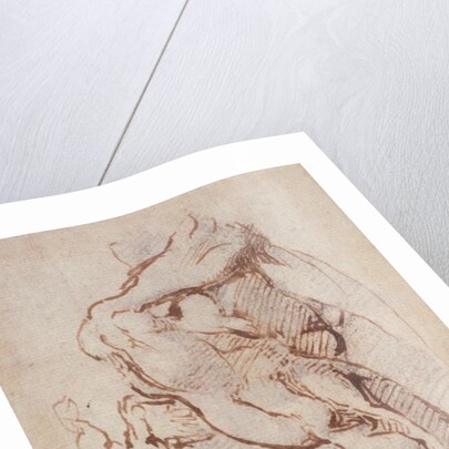 Study of an Arm Inv.1859/5/14/819 by Michelangelo Buonarroti