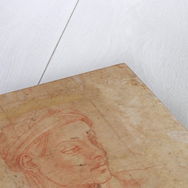 Study of a Head by Michelangelo Buonarroti