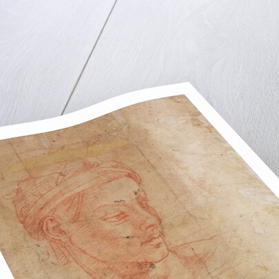 Study of a Head by Michelangelo Buonarroti