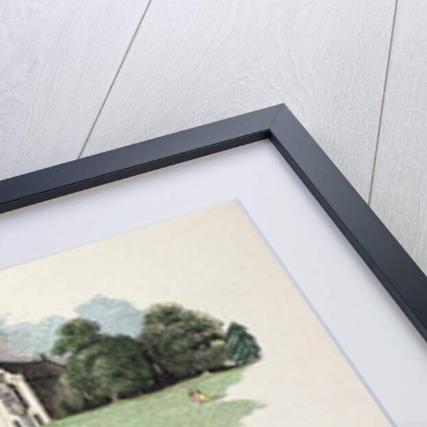 Peacock by English School