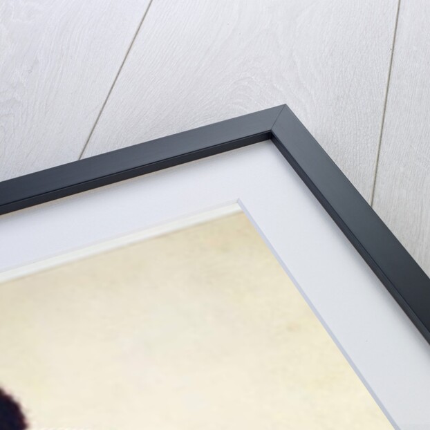 Pussey Cat, c.1817 by Richard Browne