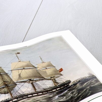 The 'Windsor Castle', 1250 tons by Anonymous Anonymous