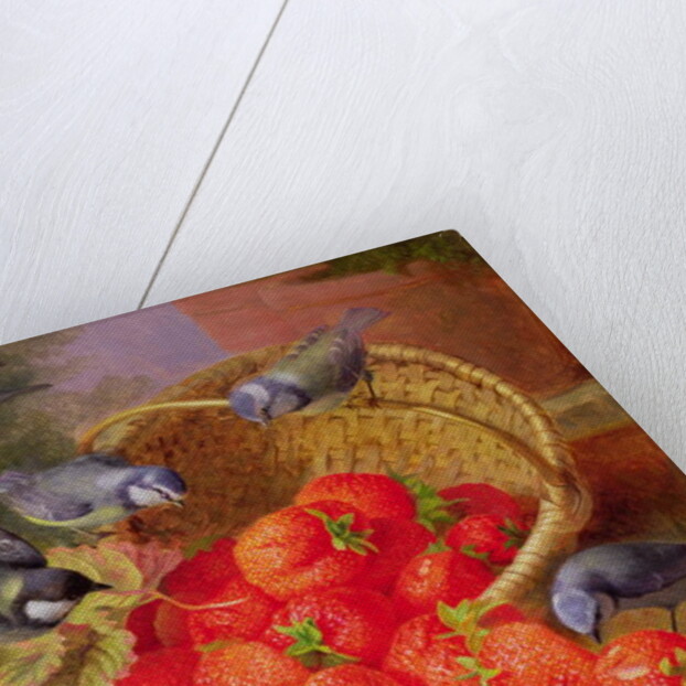 Still Life with Strawberries and Bluetits by Eloise Harriet Stannard
