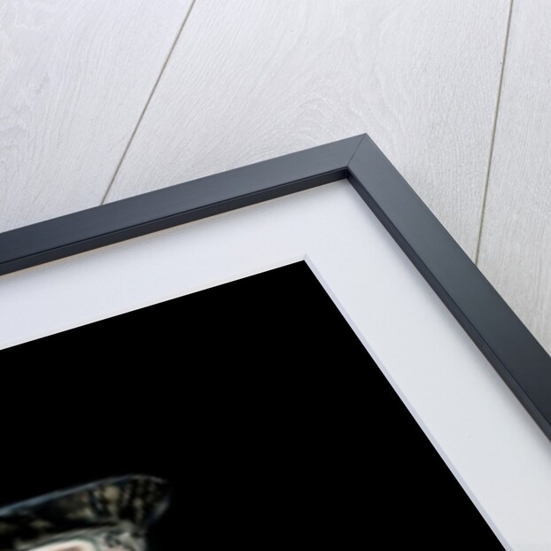 Unloading the Catch by William A. Thornley or Thornbery