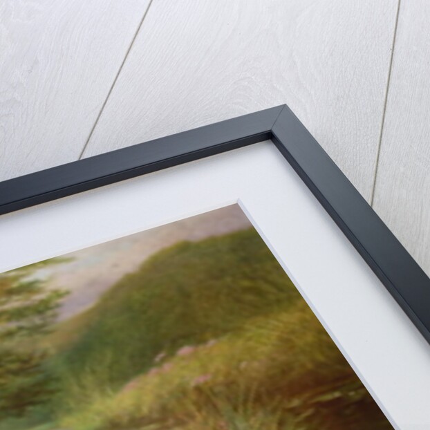 The Thames Swans by Thomas Brooks