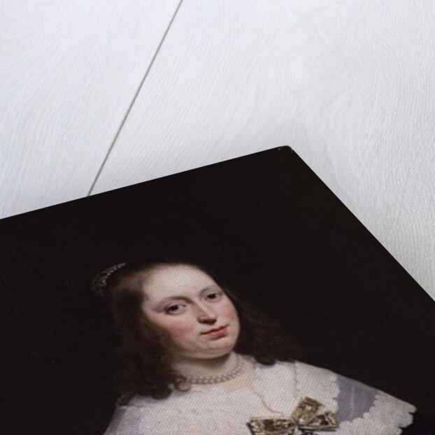 Portrait of Sophia Trip, Wife of Balthasar Coymans by Bartolomeus van der Helst