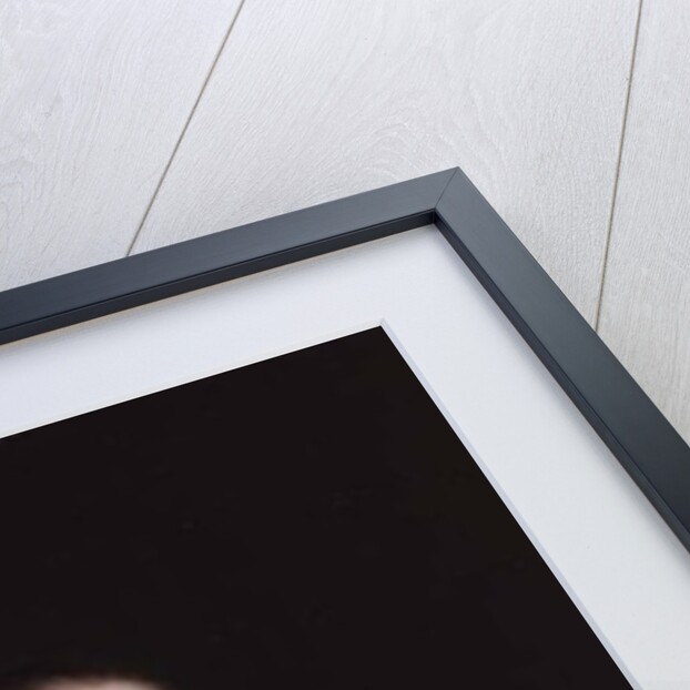 Portrait of Sophia Trip, Wife of Balthasar Coymans by Bartolomeus van der Helst