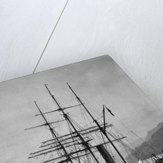 The Terra Nova sailed by Scott, in Antarctic waters, 1910 by English Photographer