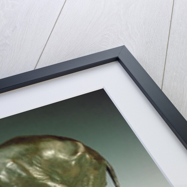 Begging Elephant by Rembrandt Bugatti