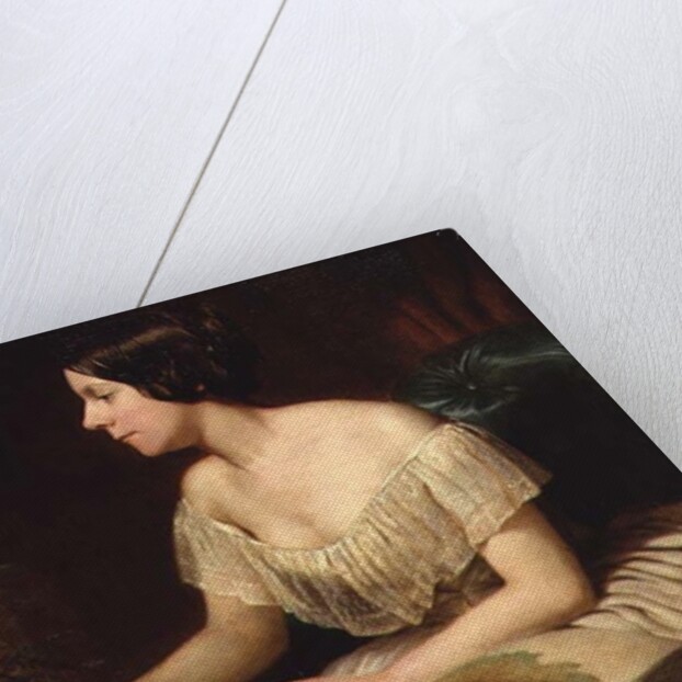 Miss Anne Pratt, the famous botanist by English School