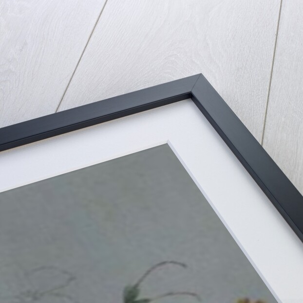 Broom and Marigolds by Caroline Louisa Meredith