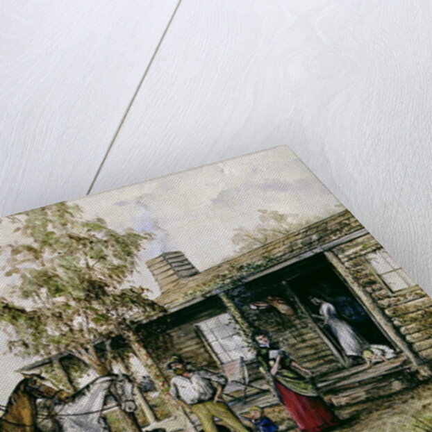 The Homesick Pioneer Woman by J. Comins