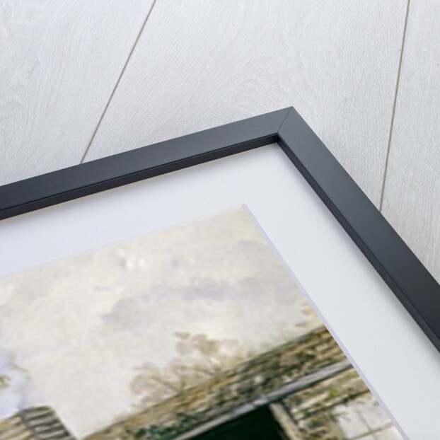 The Homesick Pioneer Woman by J. Comins