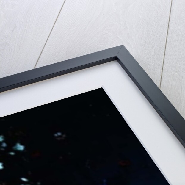 Still life with Flowers by Balthasar van der Ast