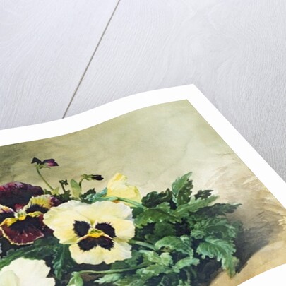 Winter Pansies, 1884 by Louis Charles Bombled