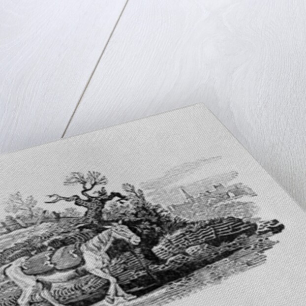 Geese carried to market from 'History of British Birds and Quadrupeds' by Thomas Bewick