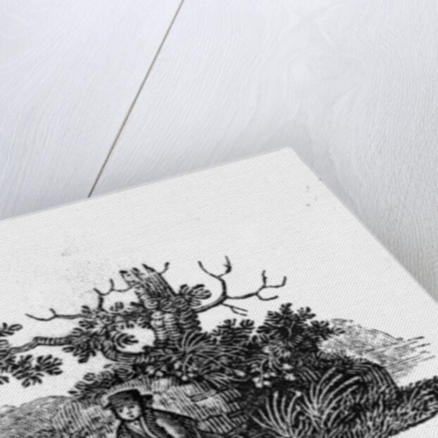 Man Seated by a Stunted Tree from 'History of British Birds and Quadrupeds' by Thomas Bewick