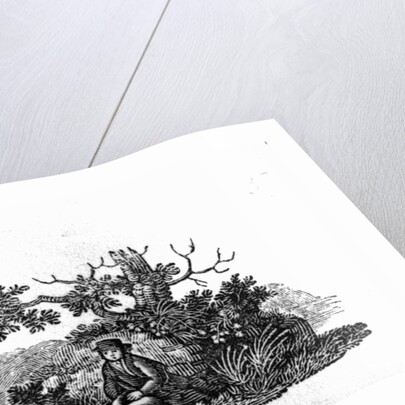 Man Seated by a Stunted Tree from 'History of British Birds and Quadrupeds' by Thomas Bewick
