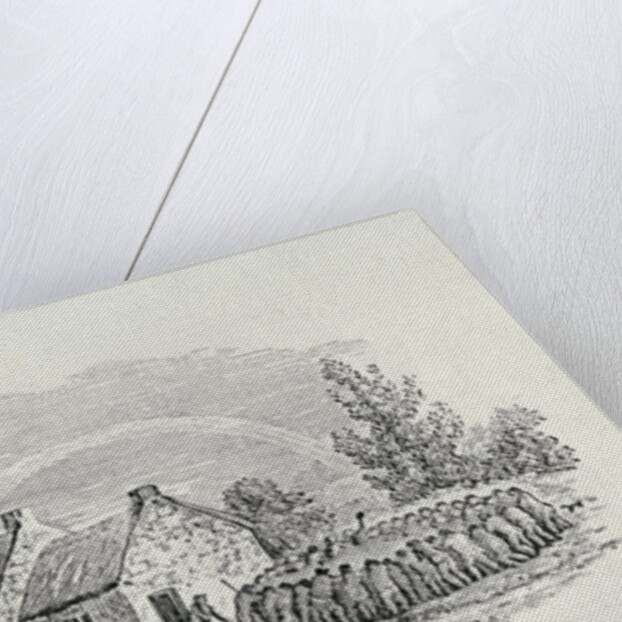 Cockfight Outside an Inn, c.1801 by Thomas Bewick