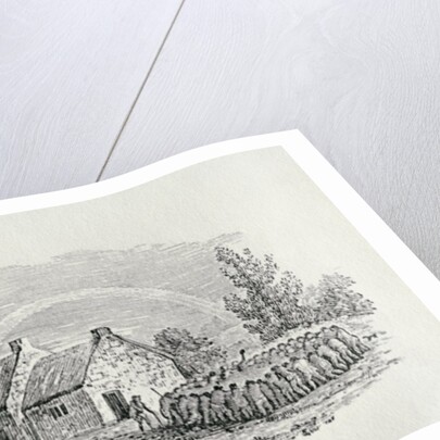 Cockfight Outside an Inn, c.1801 by Thomas Bewick