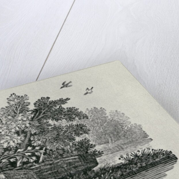 Fox escaping by Thomas Bewick