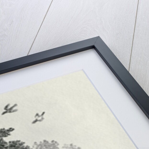 Fox escaping by Thomas Bewick