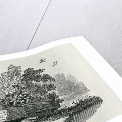 Fox escaping by Thomas Bewick