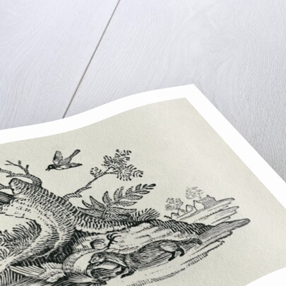 A Civet with a Cockerel from 'History of Quadrupeds', 1790 by Thomas Bewick