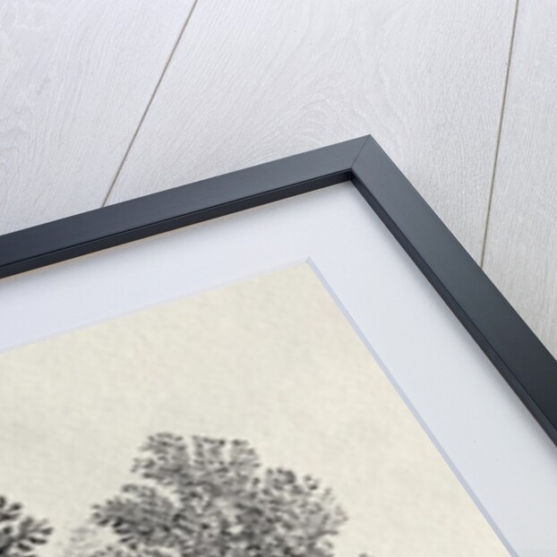 A Girl Gathering Flowers from 'History of British Birds and Quadrupeds' by Thomas Bewick