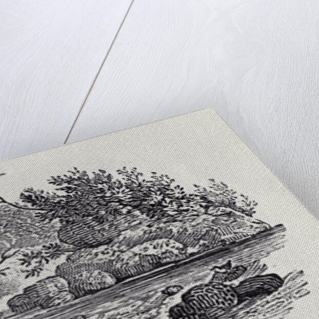 A Bend in the River from 'History of British Birds, Volume 2: Water Birds', 1804 by Thomas Bewick