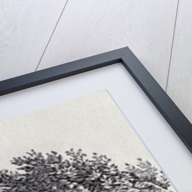 A Bend in the River from 'History of British Birds, Volume 2: Water Birds', 1804 by Thomas Bewick