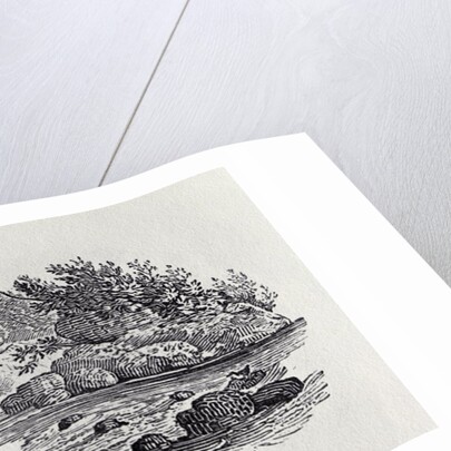 A Bend in the River from 'History of British Birds, Volume 2: Water Birds', 1804 by Thomas Bewick