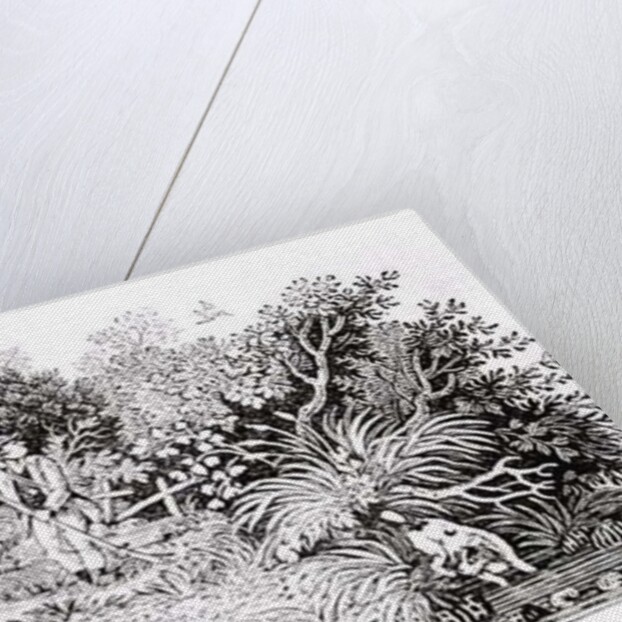 Looking for the Shot, late 18th or early 19th century by Thomas Bewick