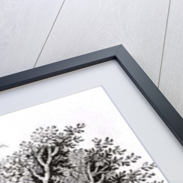 Looking for the Shot, late 18th or early 19th century by Thomas Bewick