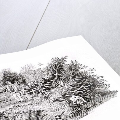 Looking for the Shot, late 18th or early 19th century by Thomas Bewick