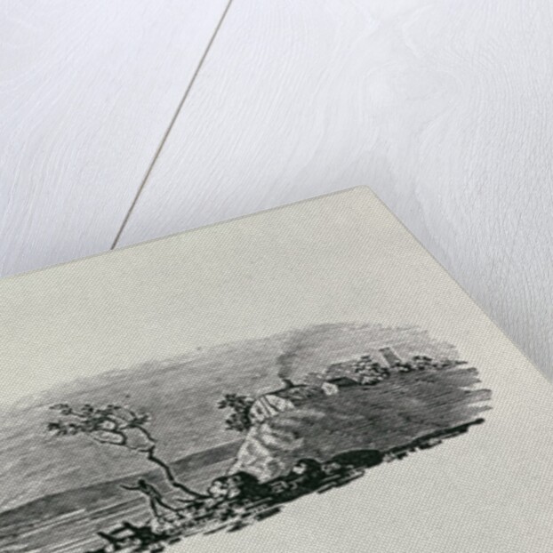 Winter Sunset from 'History of British Birds and Quadrupeds' by Thomas Bewick