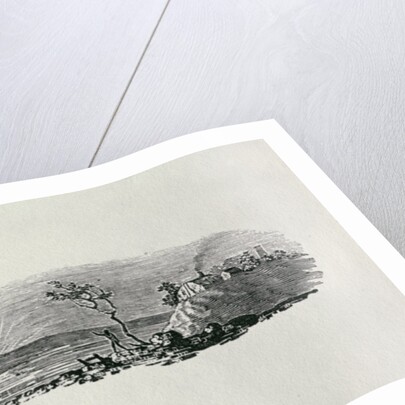 Winter Sunset from 'History of British Birds and Quadrupeds' by Thomas Bewick