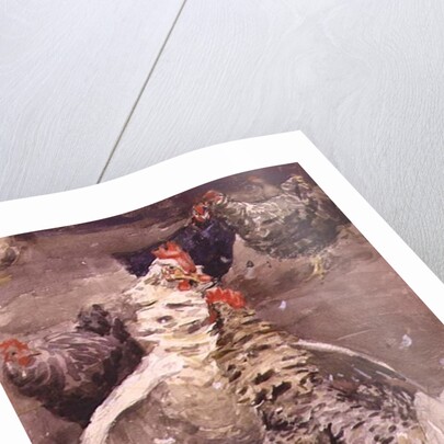 Roosters, 1910 by Ernest Procter