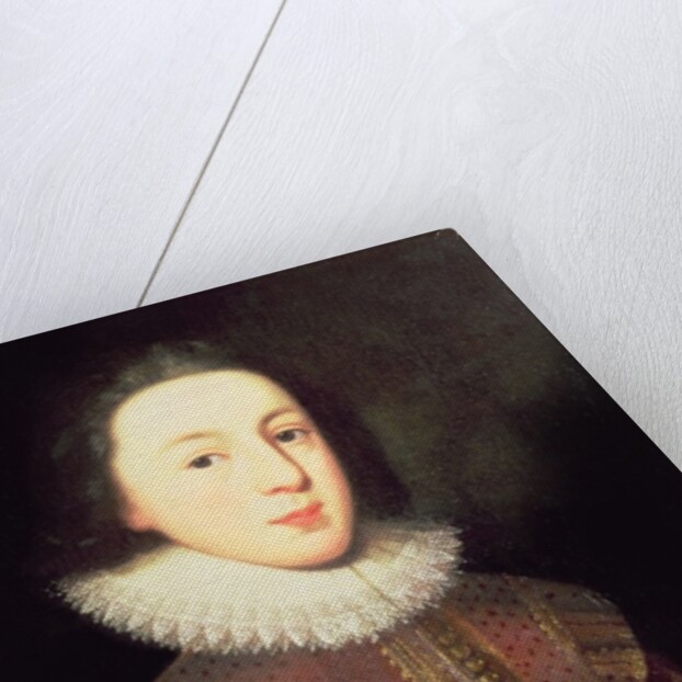 Tudor portrait of a Boy, c.1580-1600 by English School