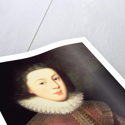 Tudor portrait of a Boy, c.1580-1600 by English School