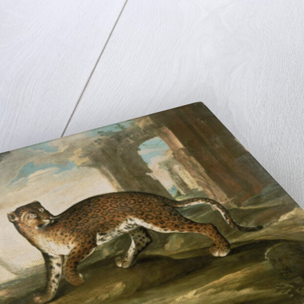 A Jaguar by Andrea the Elder Scacciati