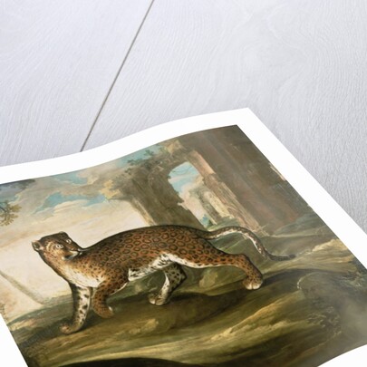A Jaguar by Andrea the Elder Scacciati