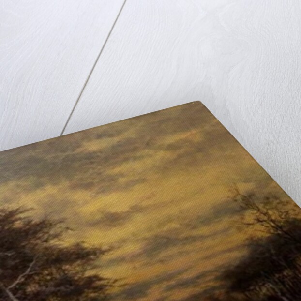 Sheep in the Snow by Daniel Sherrin