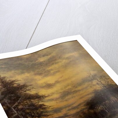 Sheep in the Snow by Daniel Sherrin