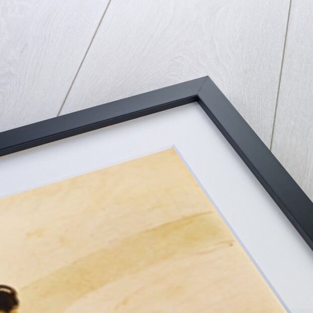 Poster advertising 'La Revue Blanche', 1895 by Henri de Toulouse-Lautrec