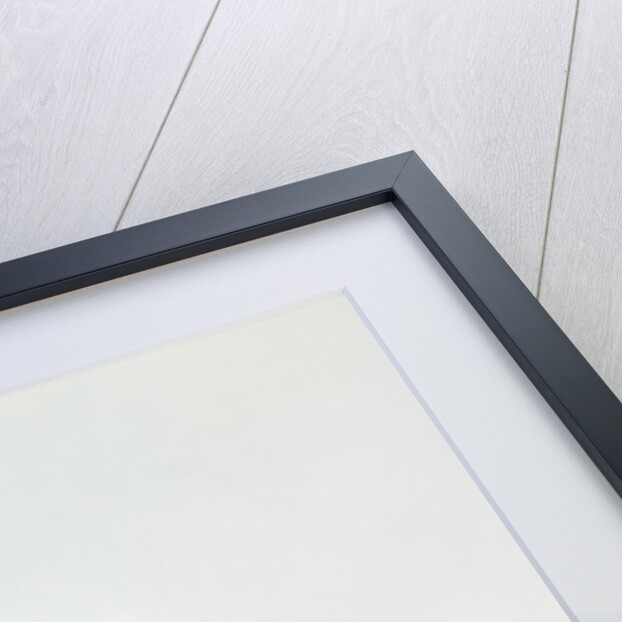 Orange Jay by Jacques Barraband