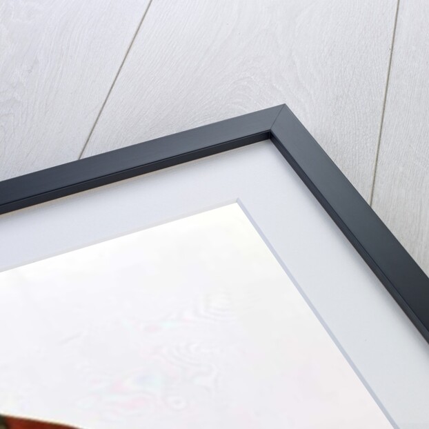 Great Jacamar by Jacques (after) Barraband