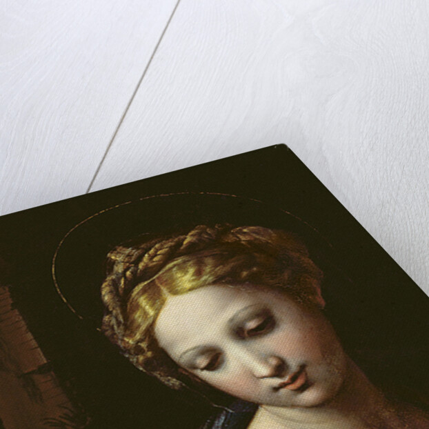 The Madonna, c.1518 by Raphael