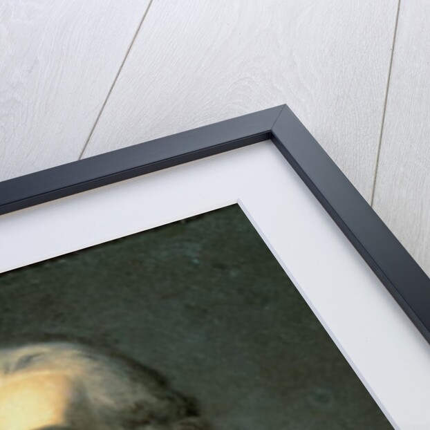 Louis XV by French School